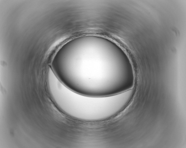 X0000091341402200708101011