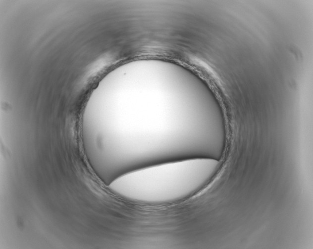 X0000091341403200708101011