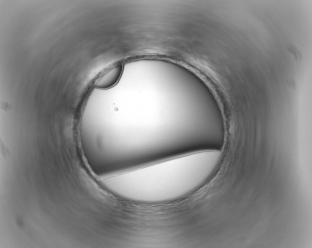 X0000091341404200708101011