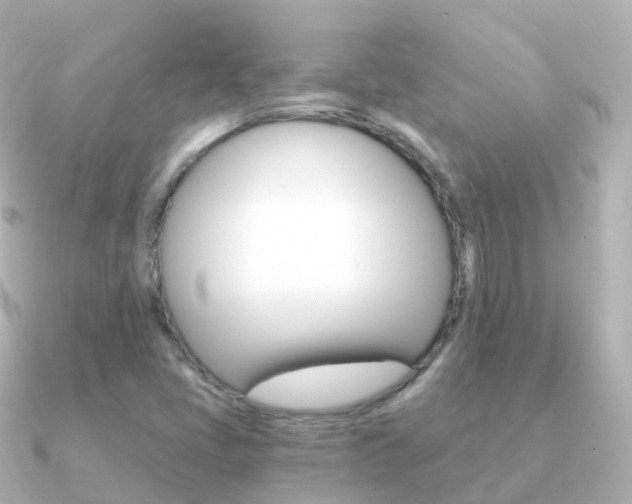 X0000091341405200708101011