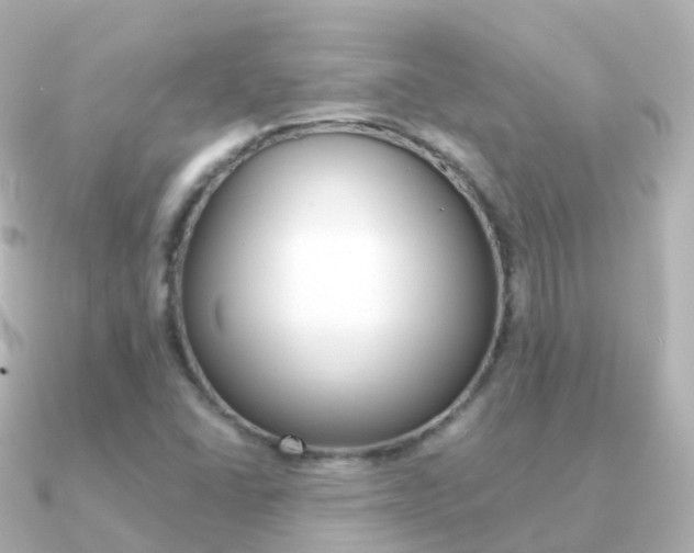 X0000091341406200708101011