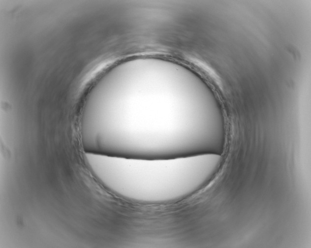 X0000091341407200708101011