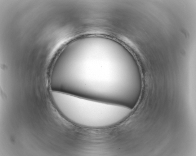 X0000091341408200708101011