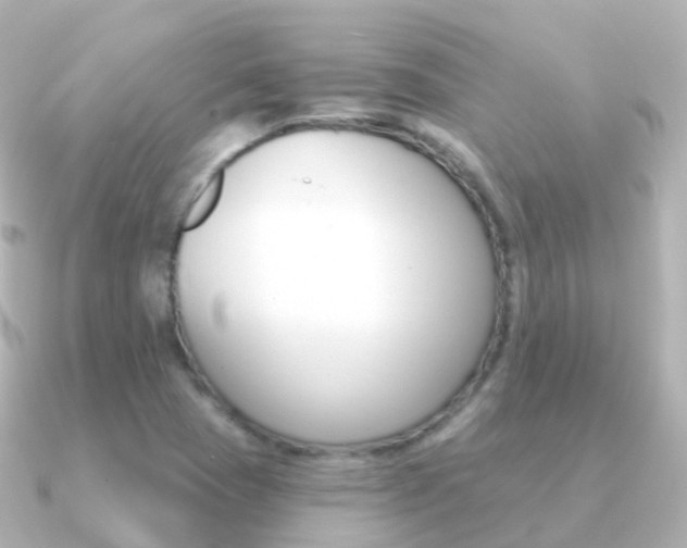 X0000091341409200708101011