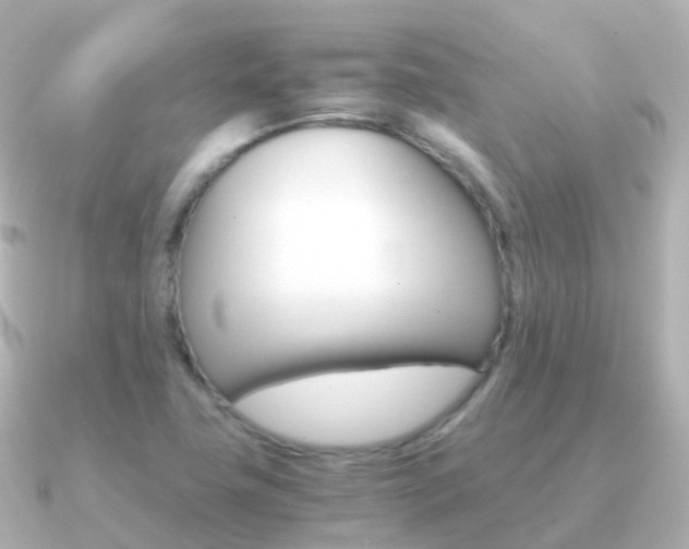 X0000091341411200708101011