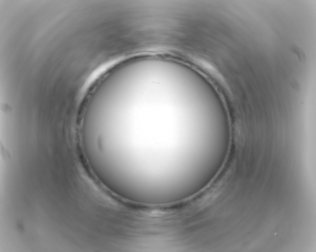 X0000091341412200708101011
