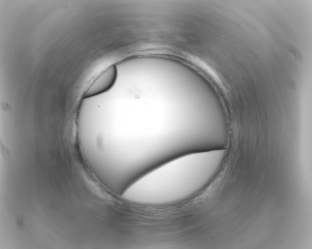 X0000091341413200708101011