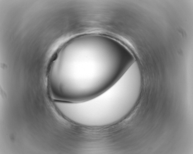 X0000091341414200708101011
