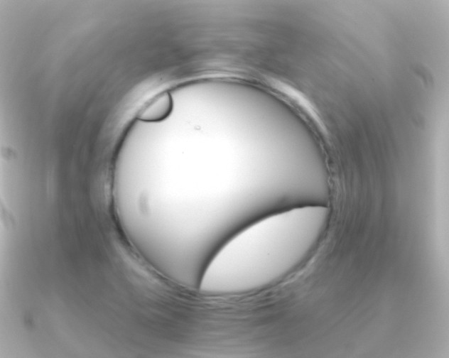 X0000091341415200708101011