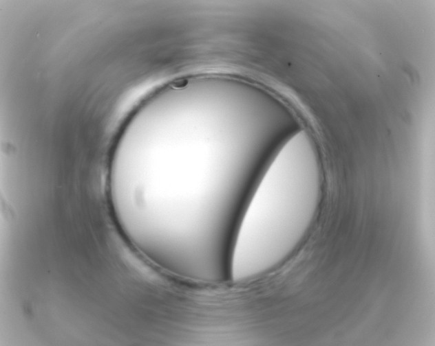 X0000091341416200708101011