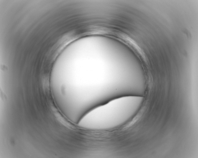 X0000091341417200708101011