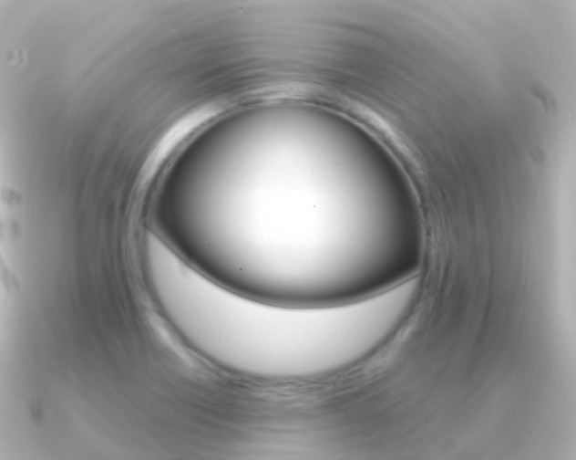 X0000091341418200708101011