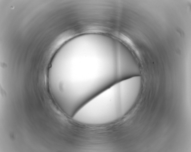 X0000091341419200708101011