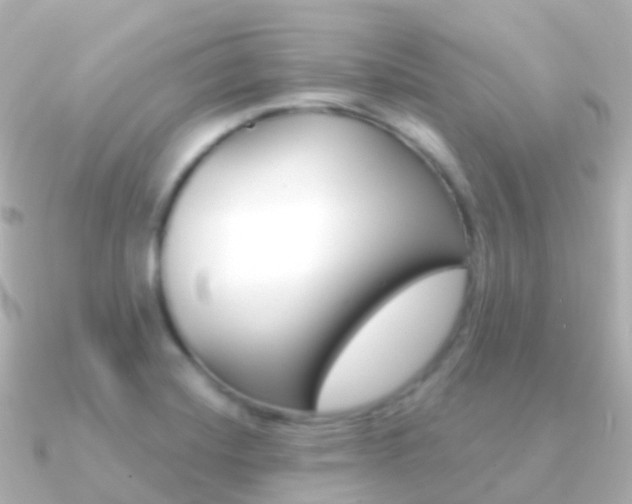 X0000091341420200708101011