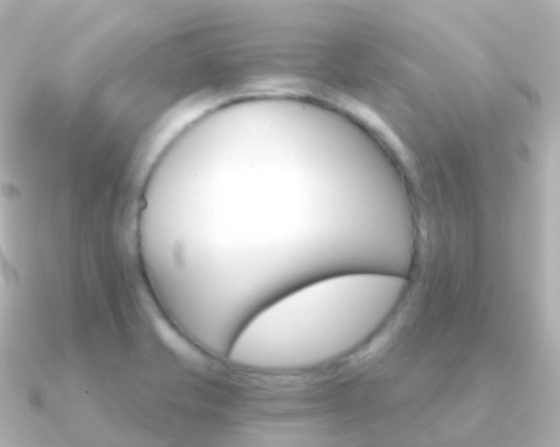 X0000091341421200708101011