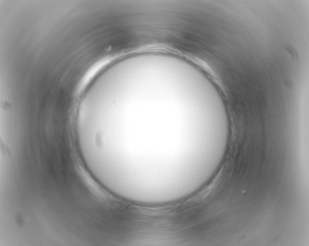 X0000091341422200708101011