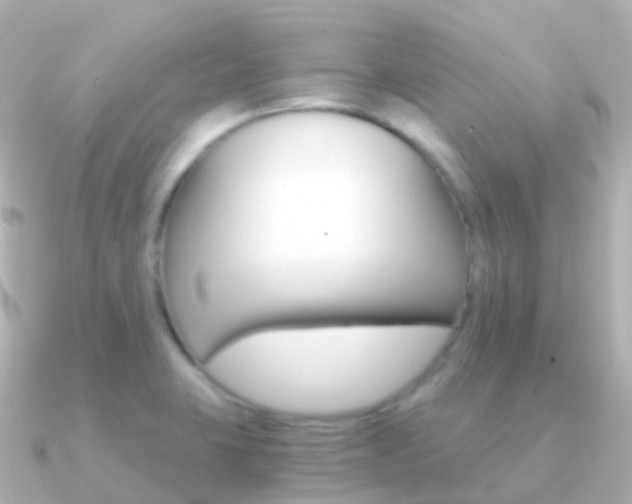 X0000091341423200708101011