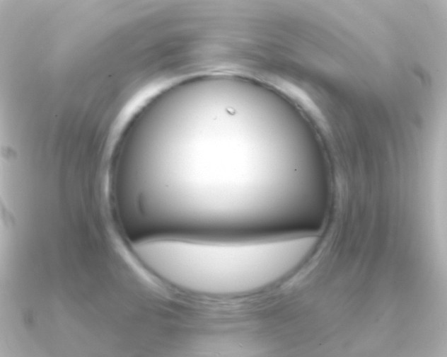 X0000091341424200708101011