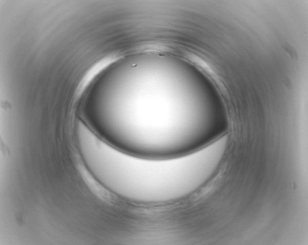 X0000091341426200708101011