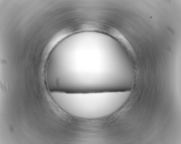 X0000091341427200708101011