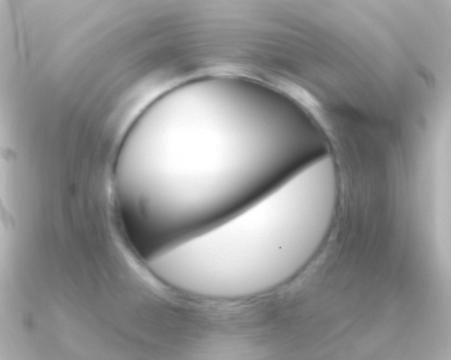 X0000091341428200708101011