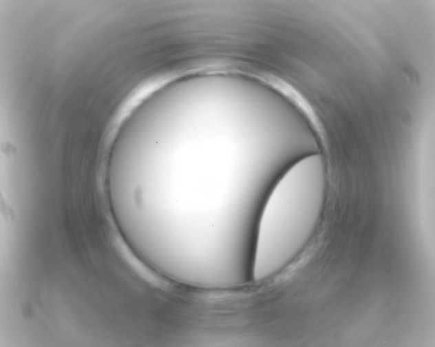 X0000091341429200708101011