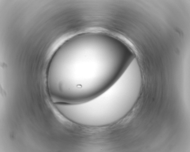 X0000091341430200708101011