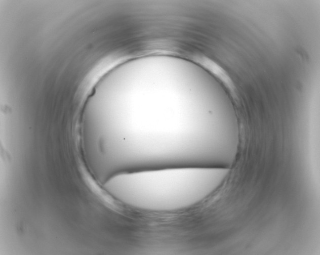 X0000091341431200708101011