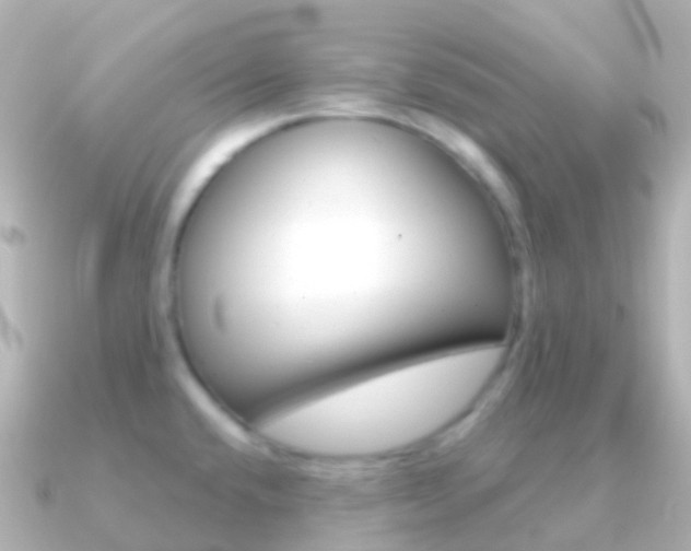 X0000091341432200708101011