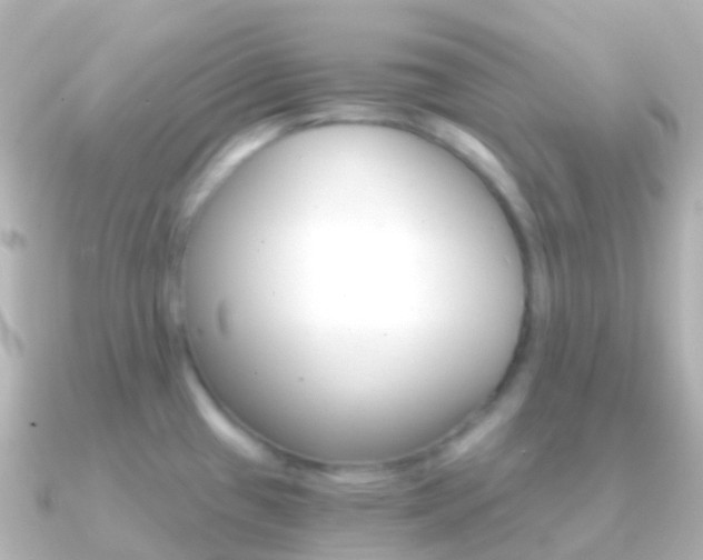 X0000091341433200708101011
