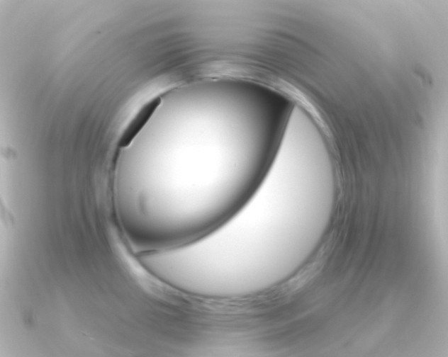 X0000091341434200708101011