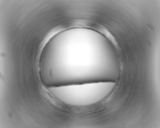 X0000091341435200708101011