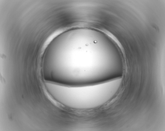X0000091341437200708101011