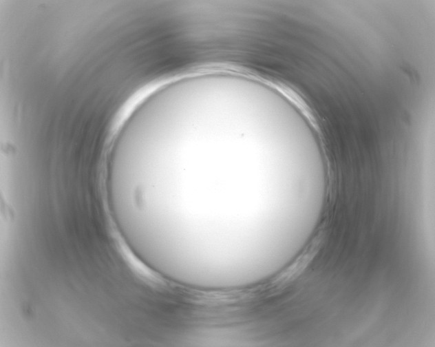 X0000091341438200708101011