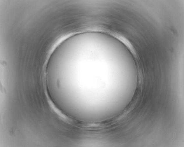 X0000091341439200708101011