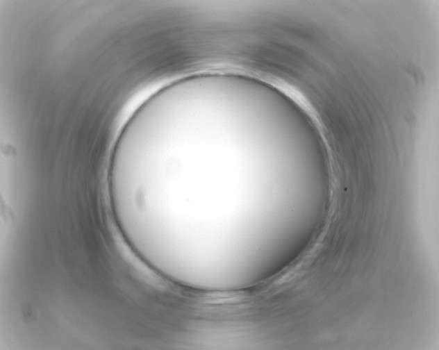 X0000091341440200708101011