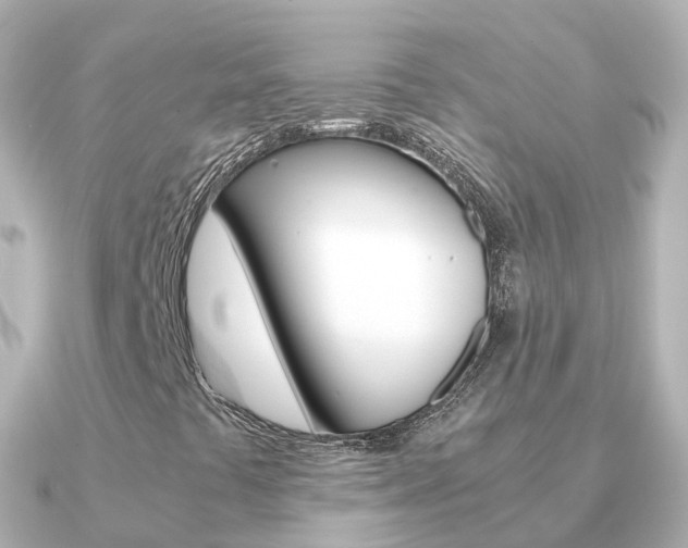 X0000091341441200708101011