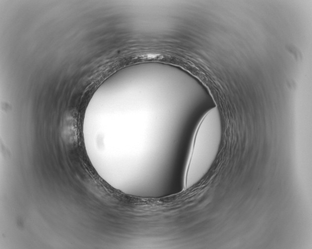 X0000091341442200708101011