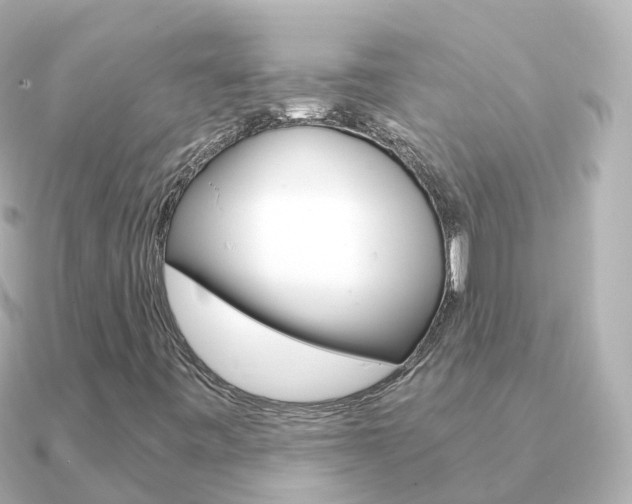 X0000091341443200708101011