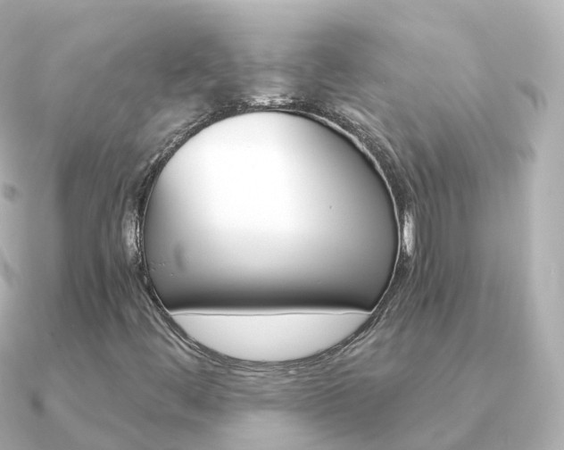 X0000091341444200708101011
