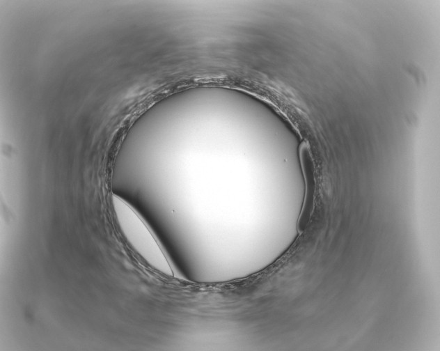 X0000091341445200708101011