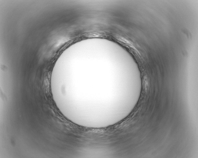 X0000091341446200708101011