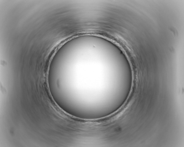 X0000091341449200708101011