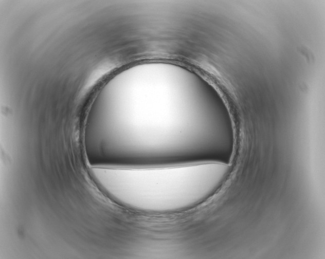 X0000091341450200708101011