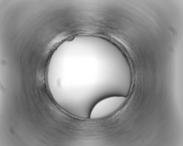 X0000091341451200708101011