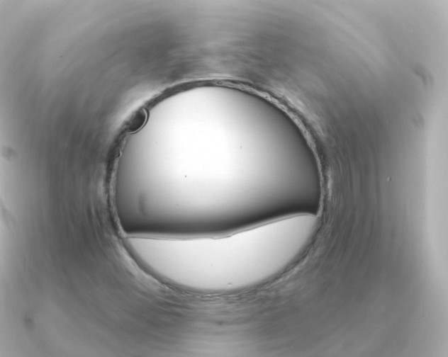 X0000091341452200708101011
