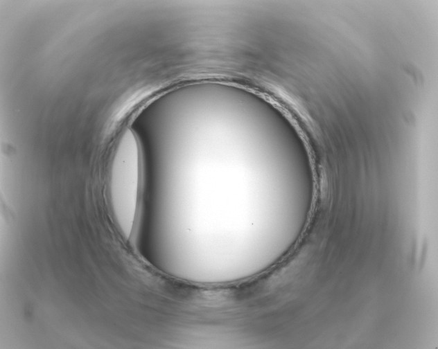 X0000091341453200708101011