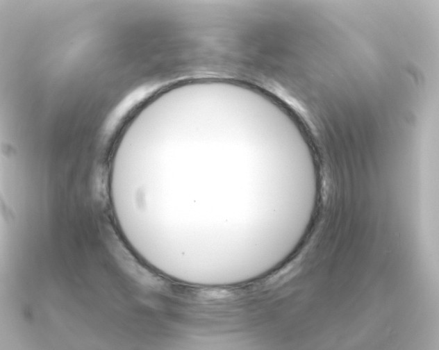X0000091341454200708101011