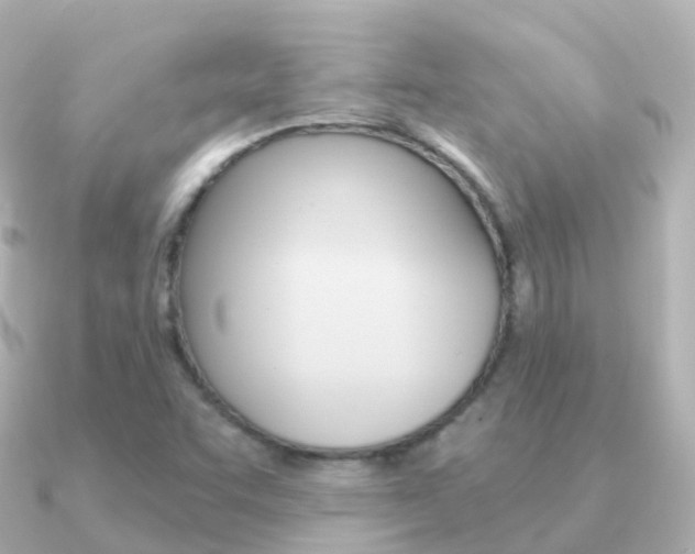 X0000091341455200708101011