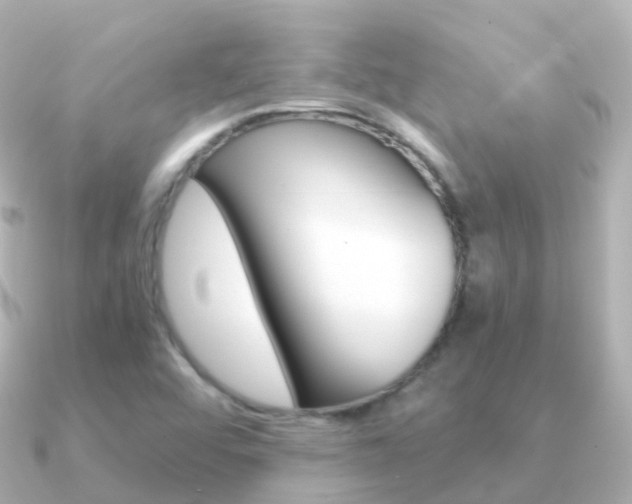 X0000091341456200708101011